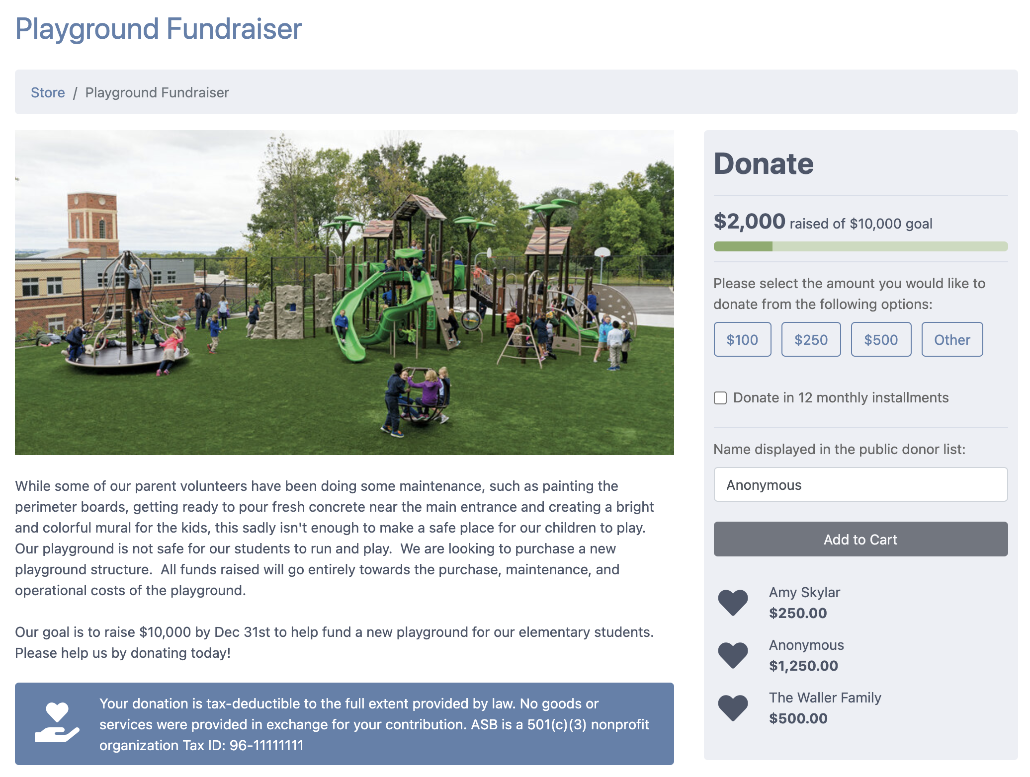 Fundraiser Campaign Preview - Store